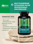 Исландский мох, капсулы, 60 шт. Алтайские традиции — фото 3