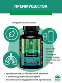 Исландский мох, капсулы, 60 шт. Алтайские традиции — фото 5