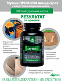 Концентрат Мумие, капсулы, 60 шт. Алтайские традиции — фото 4