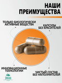 Концентрат Для суставов, капсулы, 60 шт. Алтайские традиции — фото 5