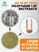 Концентрат Для суставов, капсулы, 60 шт. Алтайские традиции — фото 6