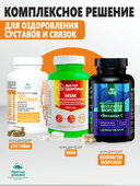 Концентрат Для суставов, капсулы, 60 шт. Алтайские традиции — фото 7