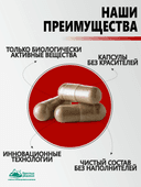 Концентрат «Для вен», капсулы, 60 шт. Алтайские традиции — фото 6