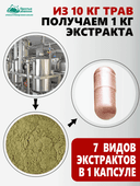 Концентрат «Для вен», капсулы, 60 шт. Алтайские традиции — фото 7