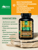 Дягиль Концентрат Дамиана + Аргинин, капсулы, 60 шт. Алтайские традиции — фото 3