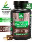 Концентрат Ежовик гребенчатый, капсулы, 60 шт. Алтайские традиции — фото 2