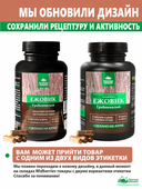 Концентрат Ежовик гребенчатый, капсулы, 60 шт. Алтайские традиции — фото 3