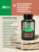 Концентрат Ежовик гребенчатый, капсулы, 60 шт. Алтайские традиции — фото 4