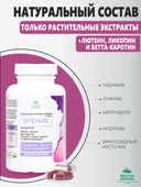 Концентрат Зрение, капсулы, 60 шт. Алтайские традиции — фото 3