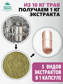 Концентрат Зрение, капсулы, 60 шт. Алтайские традиции — фото 6