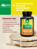 Лапчатка белая, капсулы, 60 шт. Алтайские традиции — фото 3