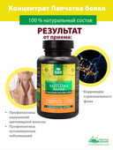 Лапчатка белая, капсулы, 60 шт. Алтайские традиции — фото 4