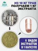 Концентрат Мозговая Активность, капсулы, 60 шт. Алтайские традиции — фото 6