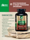 Концентрат Чага, капсулы, 60 шт. Алтайские традиции — фото 3