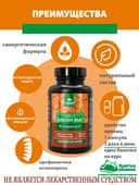 Концентрат ДИКИЙ ЯМС», капсулы, 60 шт. Алтайские традиции — фото 6