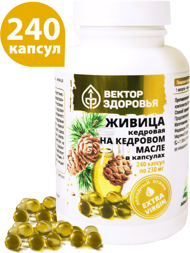 Живица кедровая на кедровом масле, капсулы, 240 шт. Вектор Здоровья