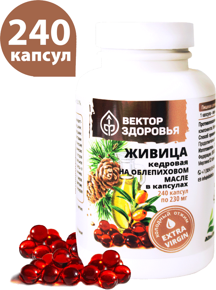 Живица кедровая на облепиховом масле, капсулы, 240 шт, Вектор Здоровья
